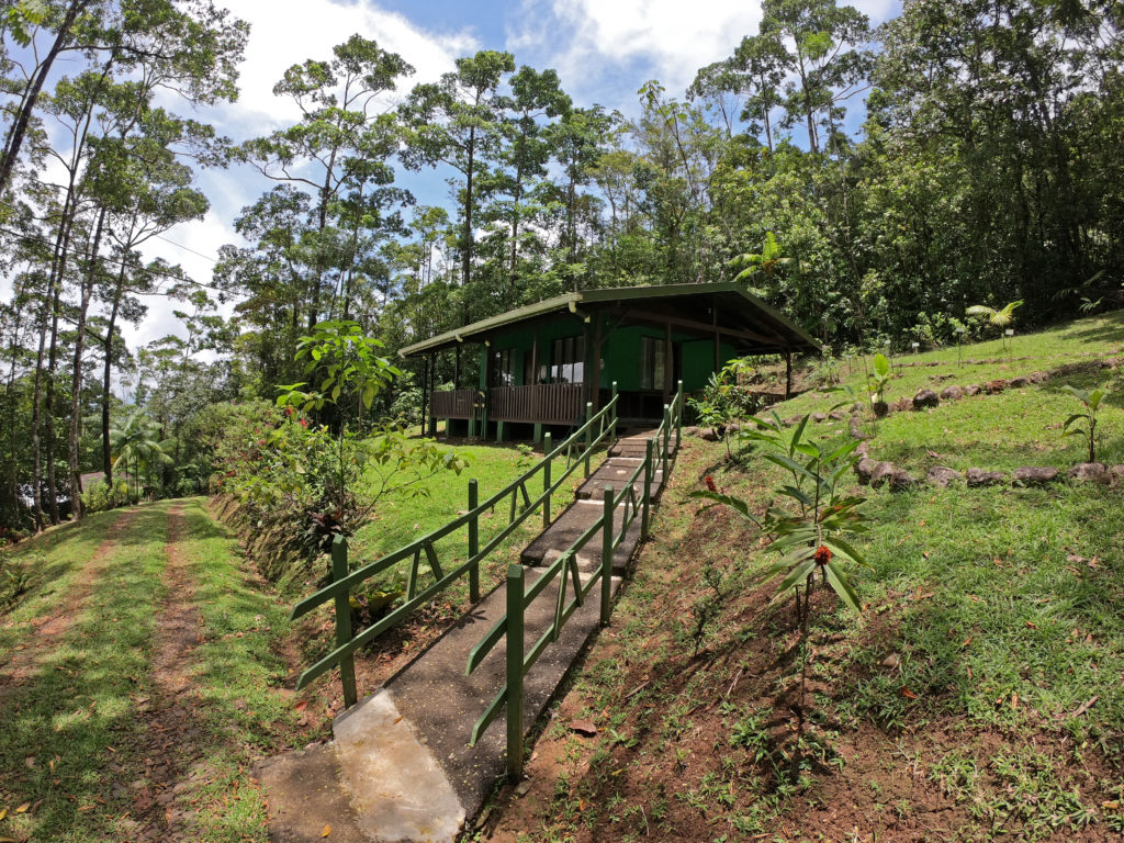 Aula de educación ambiental, Finca Steller