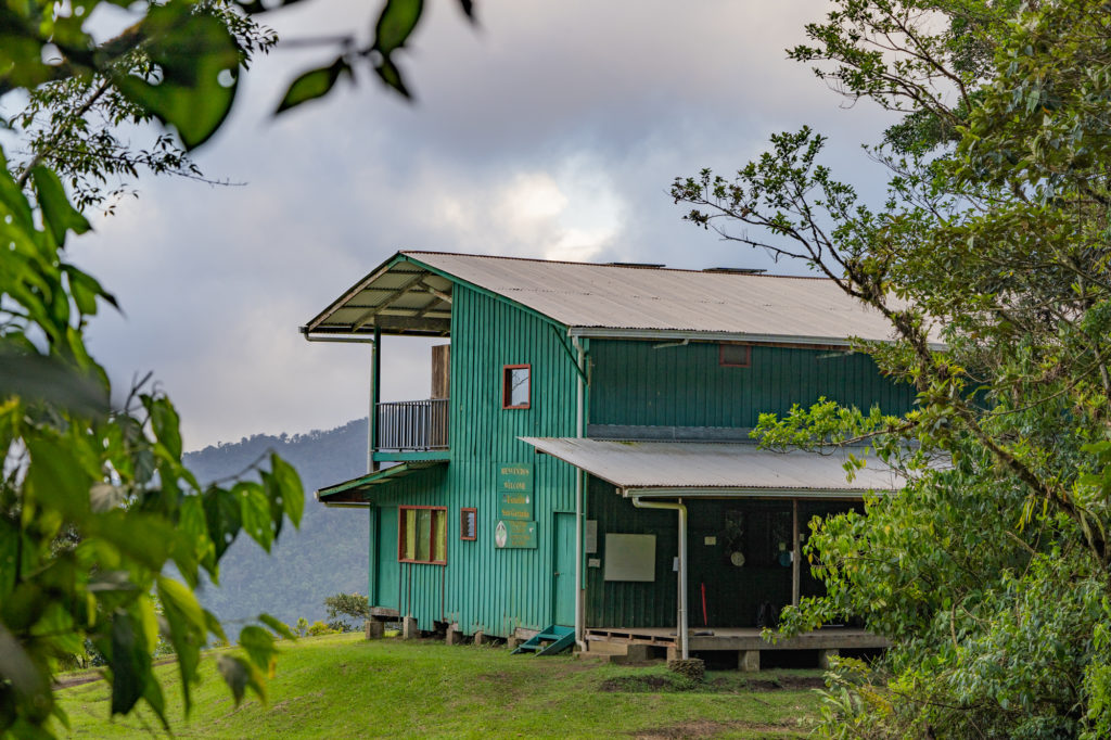 Mirador, Bajo del Tigre, Monteverde