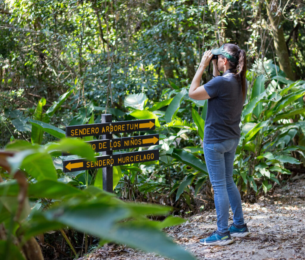 turista usando binoculares en el bosque
