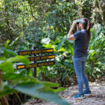 turista usando binoculares en el bosque