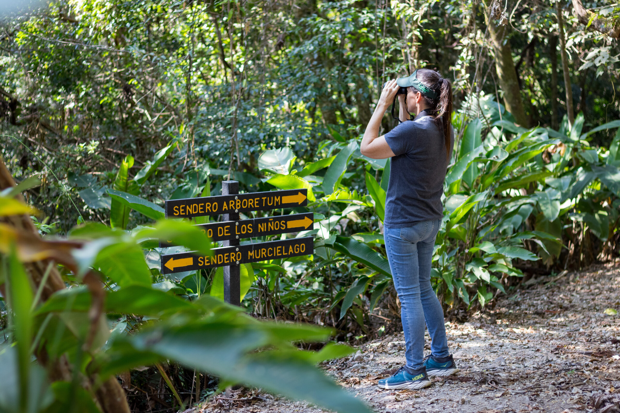 turista usando binoculares en el bosque