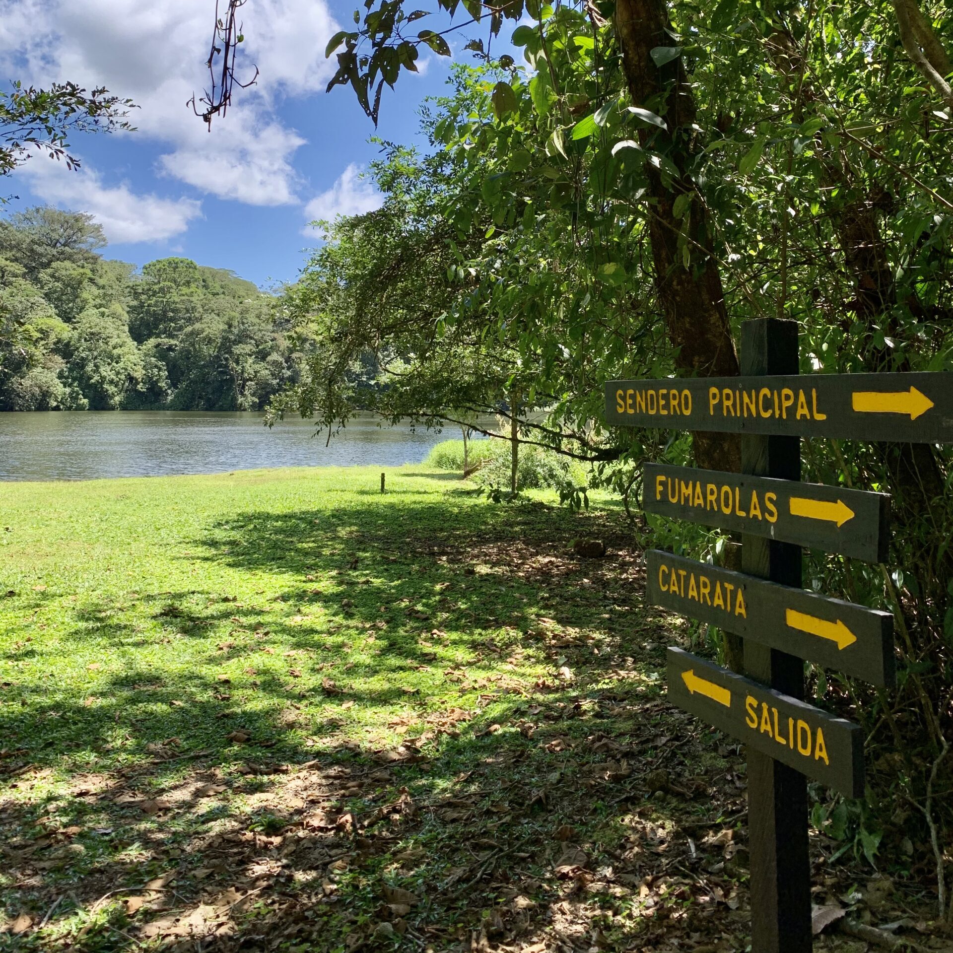 laguna rodeada del bosque lluvioso