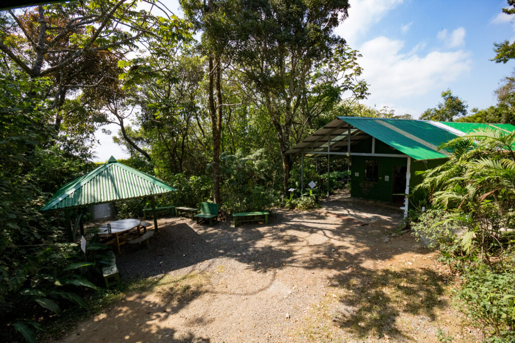 Bajo del Tigre, Monteverde