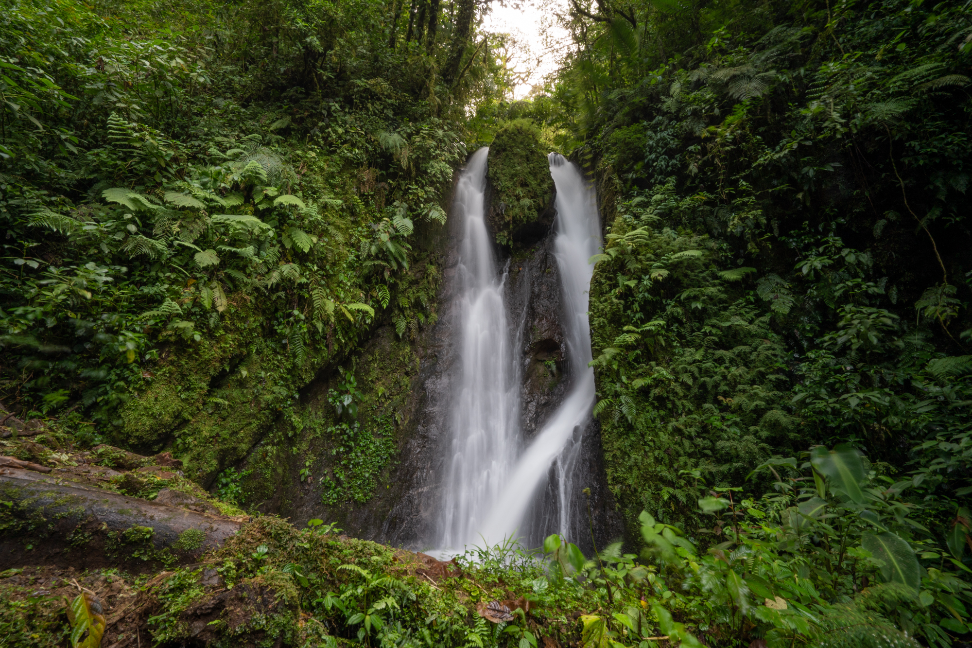 Catarata SG horizontal